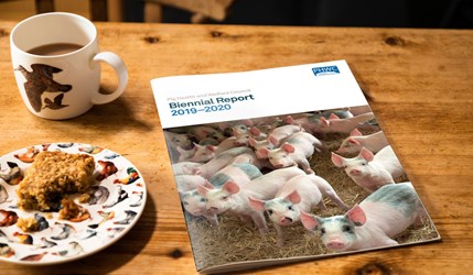 AHDB Pig Health and Welfare Council Biennial Report 2019–2020